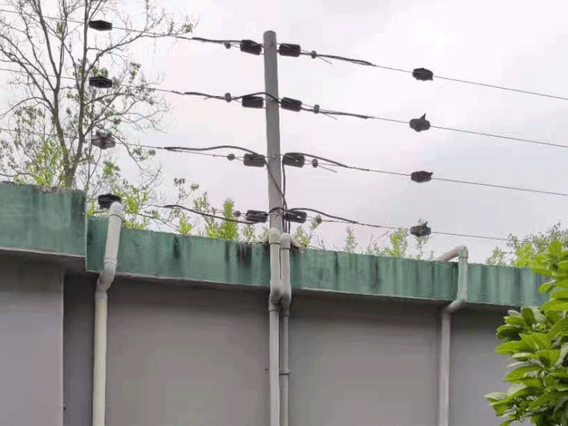 漲知識(shí)：電子圍欄系統(tǒng)的分類及功能，你知道嗎？