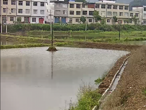 魚(yú)塘安裝視頻監(jiān)控系統(tǒng)可以防止偷釣、投毒嗎？