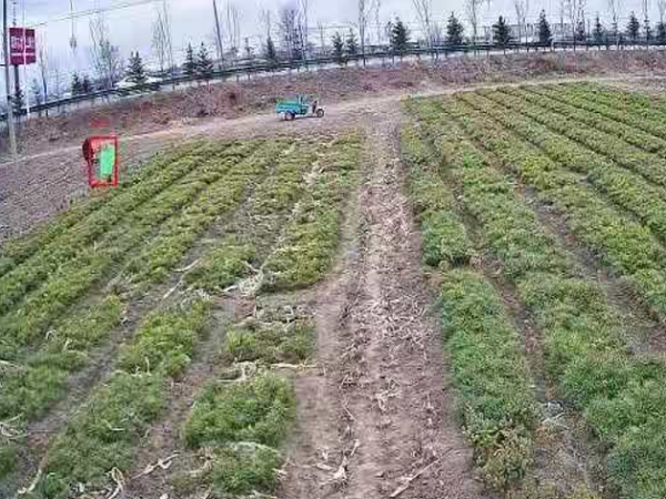 樹苗基地安防監(jiān)控系統(tǒng)怎么樣才安全？來看這里！